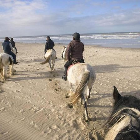 Maison Independante De Vacances Hardelot Plage Neufchâtel-Hardelot Kültér fotó